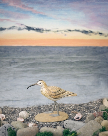 Isländische Vögel - Regenbrachvogel Holzfigur
