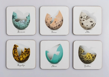 Untersetzer Set - 6 Stück - Vogel-Eierschalen Design