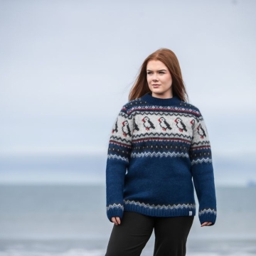 Herren / Damen Wollpullover - Puffin - blau kombi