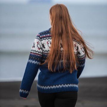 Herren / Damen Wollpullover - Puffin - blau kombi