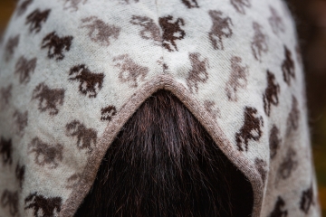 Abschwitzdecke Islandpferde - Wolle - Tölter beige