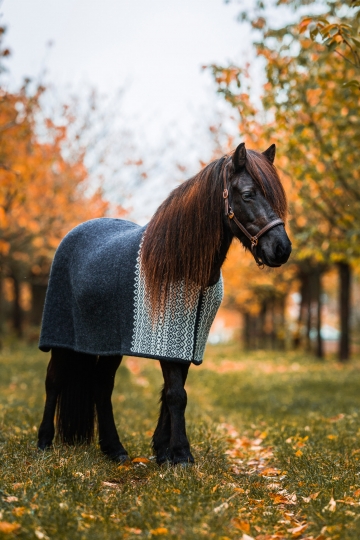 Icelandic Woolen Horse Cooler Rug - Borg black