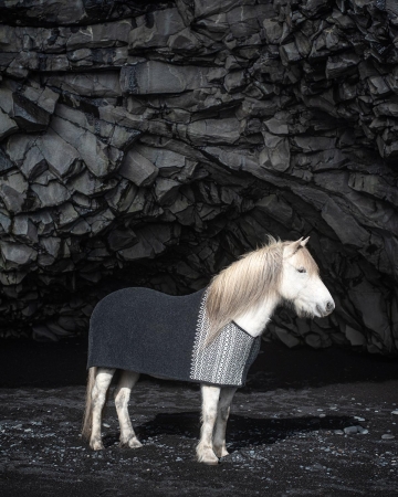 Icelandic Woolen Horse Cooler Rug - Borg black