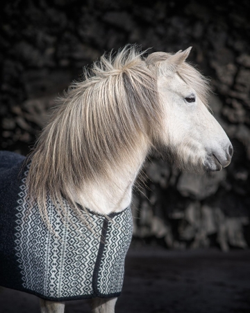 Icelandic Woolen Horse Cooler Rug - Borg black