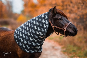 Icelandic horse neck part for Tölter sweat rug