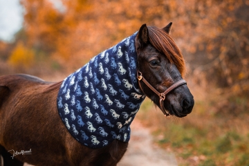 Col de cheval islandais pour tapis sweat