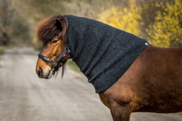 Col de cheval islandais pour tapis sweat