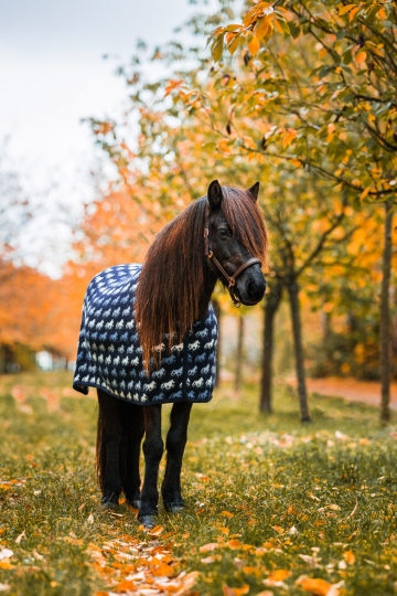 Couverture de sudation chevaux islandais - laine - bleu Tölter