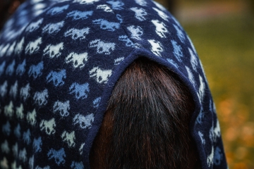 Abschwitzdecke Islandpferde - Wolle - Tölter blau