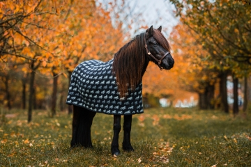 Couverture de sudation chevaux islandais - laine - noir Tölter