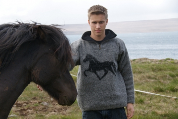 KIDKA 020 half-zip sweater - Icelandic Horse - Grey