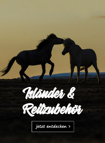 Isländer